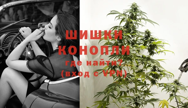 стафф Коряжма