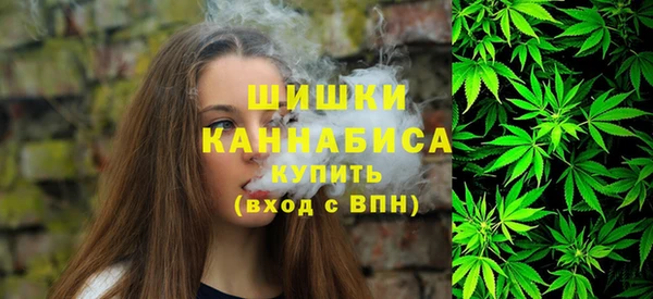 стафф Коряжма