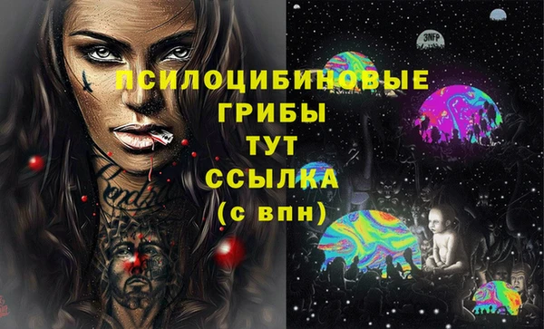 каннабис Корсаков
