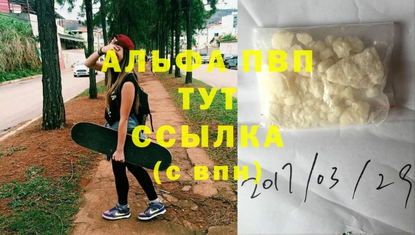 стафф Коряжма