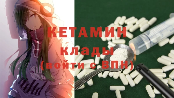 стафф Коряжма